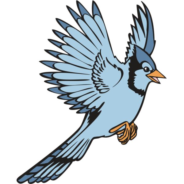 BAW BLUEJAY 12 RC Thumbnail