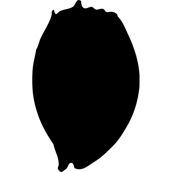 Shell Silhouette 2 Thumbnail