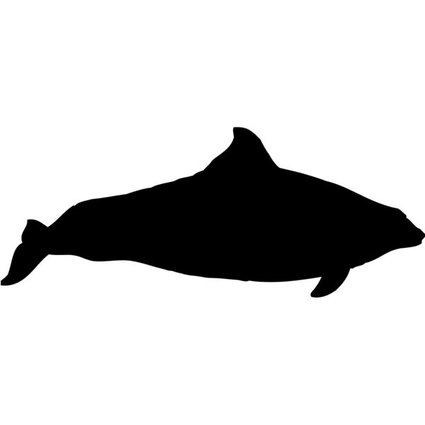 Shark Silhouette 1 Thumbnail