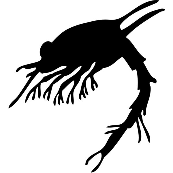 Shrimp Silhouette 4 Thumbnail