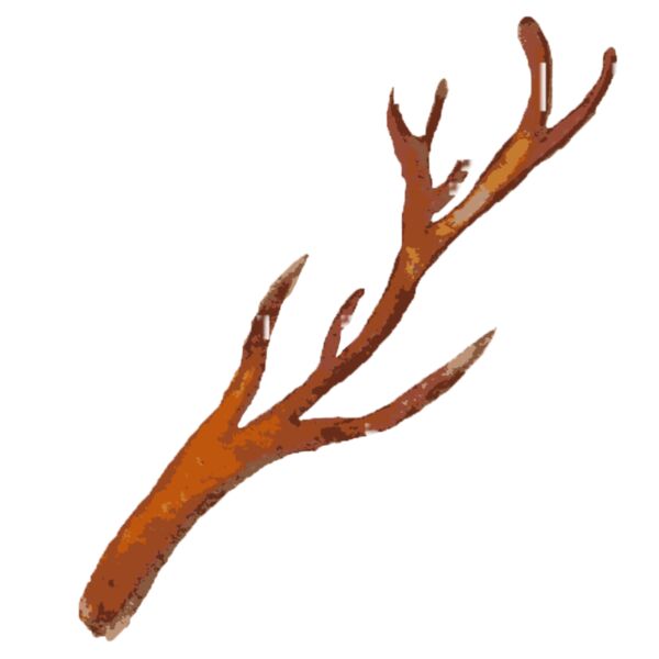 Watercolor Branch Antler 5 Thumbnail