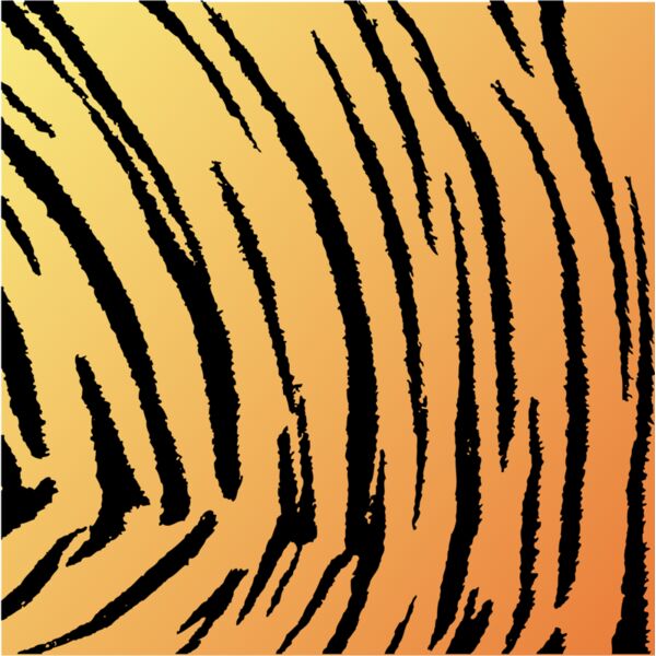 Tiger Print Stripes Background 6 Thumbnail