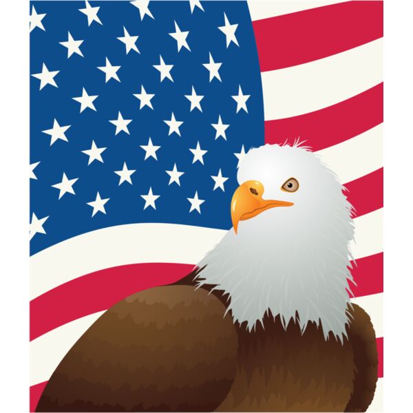 USA America Flag Bald Eagle 6 Thumbnail