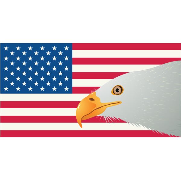 USA America Flag Bald Eagle 1 Thumbnail